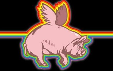Ken Boyer – Pigs on a Wing cover Ken Boyer – Pigs on a Wing cover