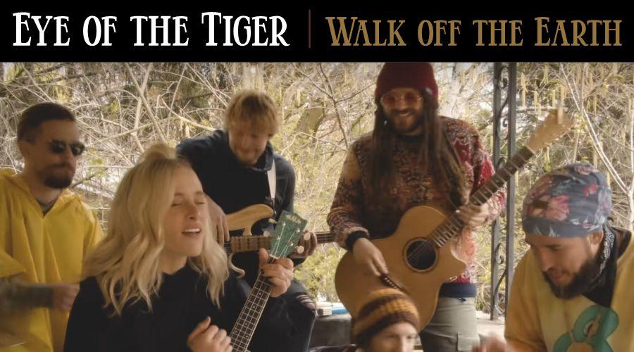 Eye of the Tiger | Walk off the Earth